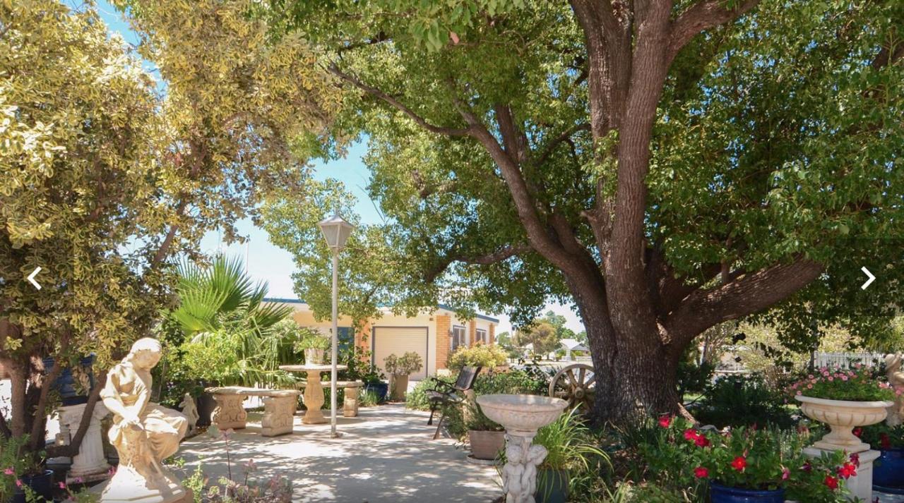 Sturt Motel Balranald Luaran gambar