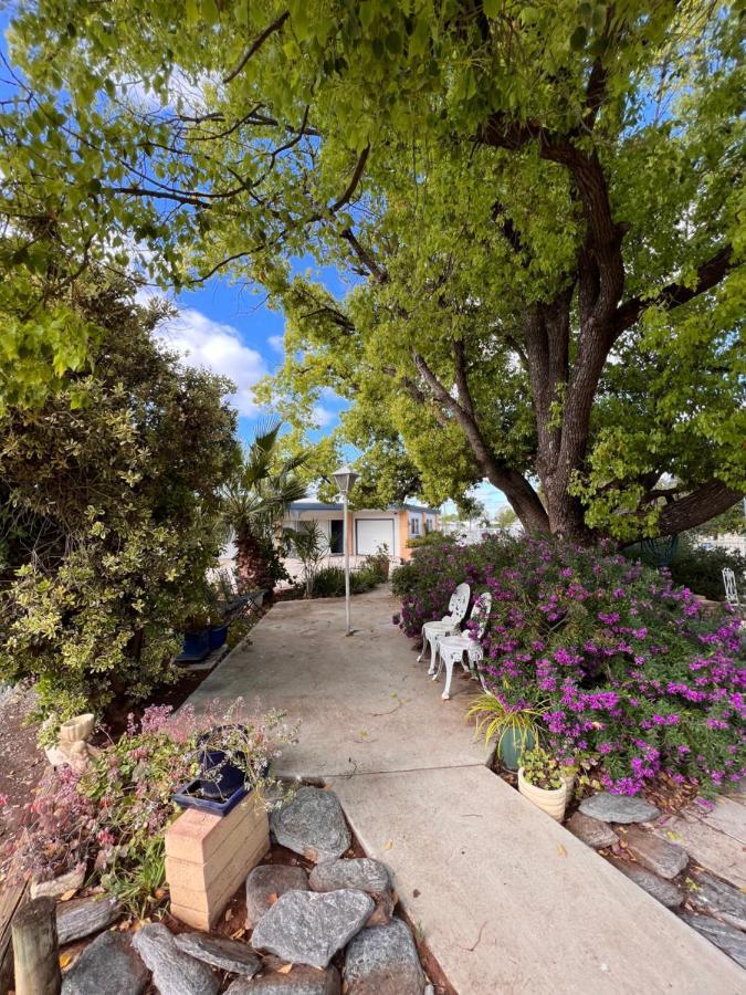 Sturt Motel Balranald Luaran gambar