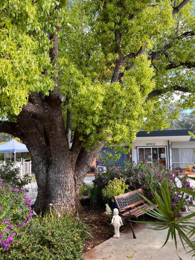 Sturt Motel Balranald Luaran gambar
